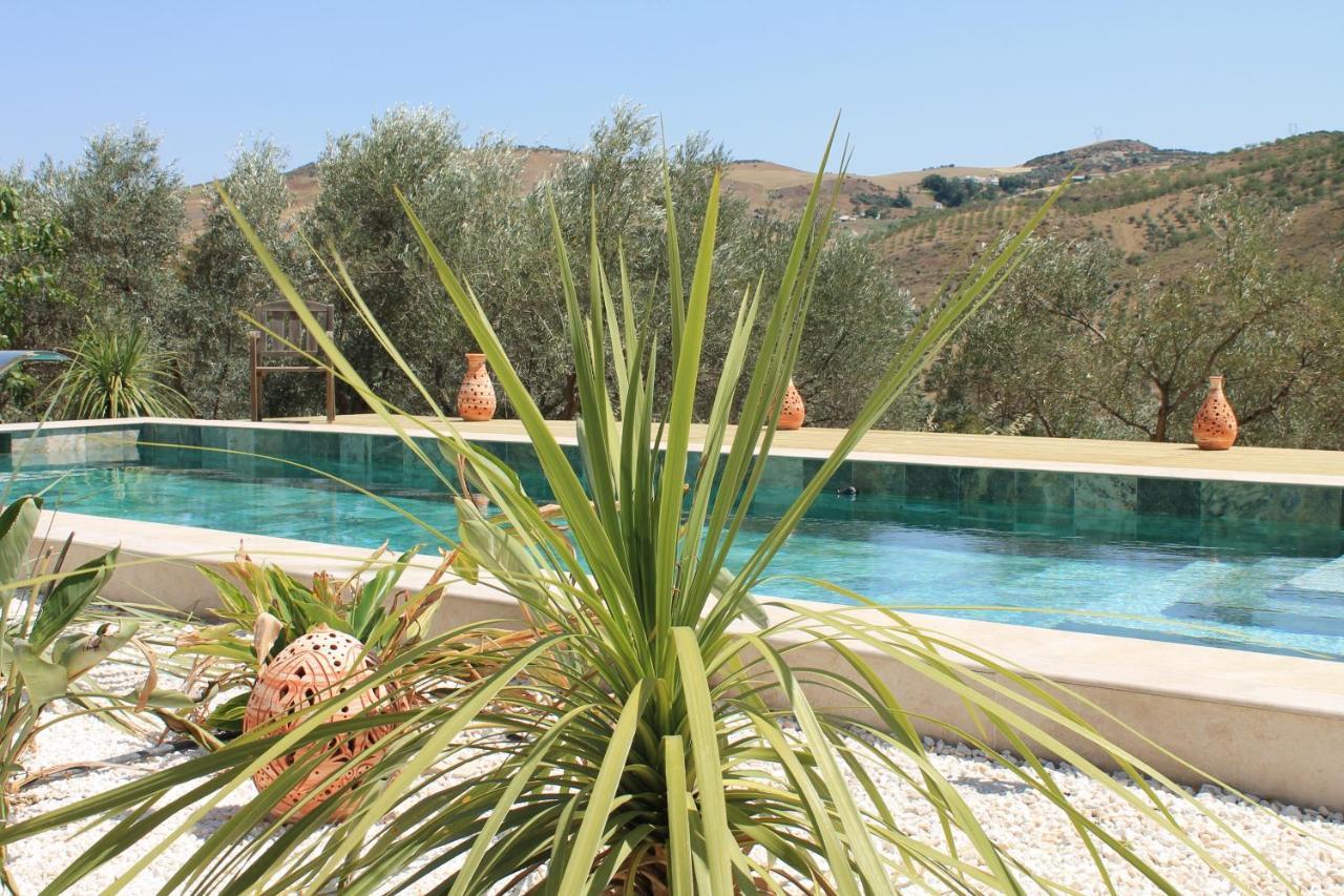 Finca Altozano - Private Pool - Unique Client Valle de Abdalagís Exterior foto