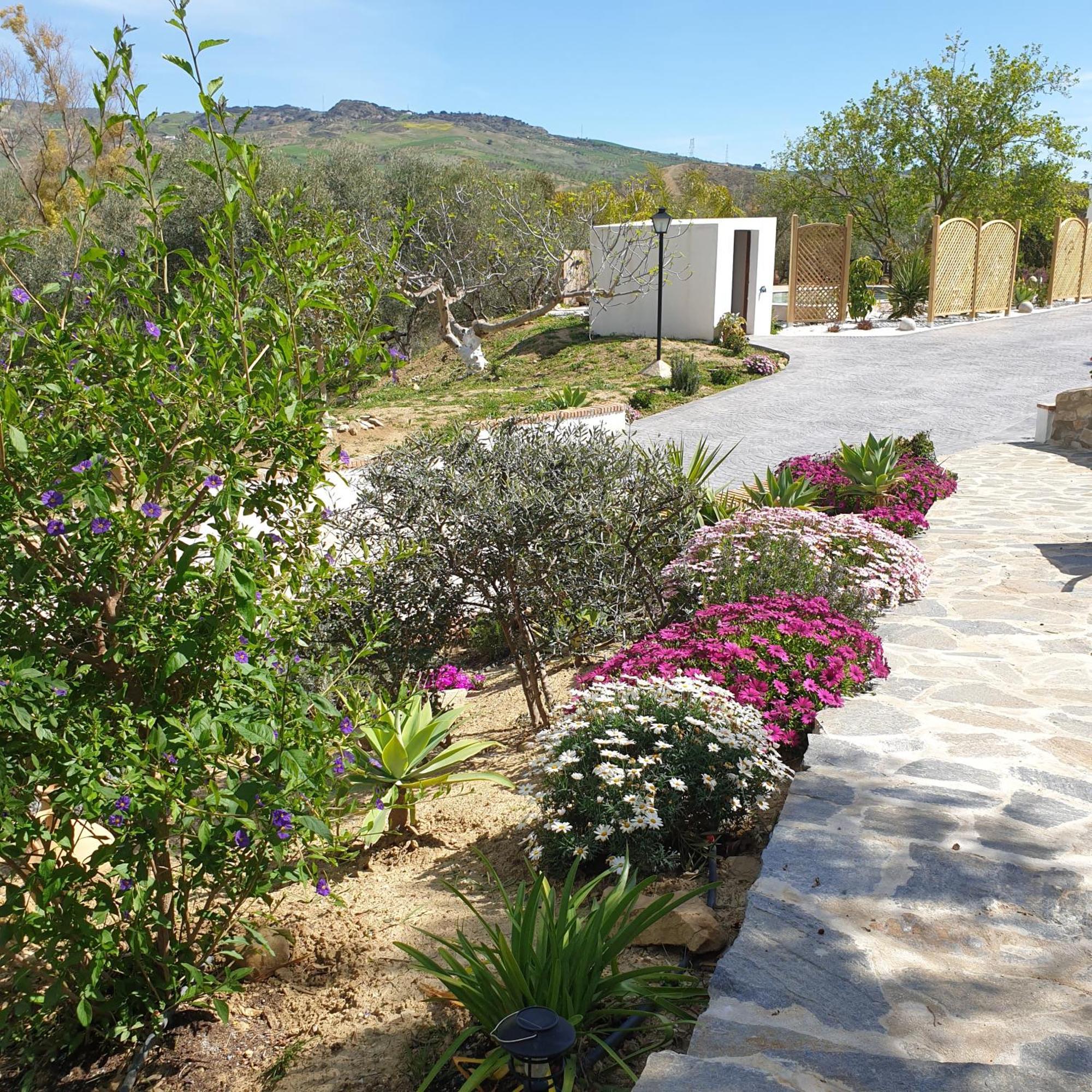 Finca Altozano - Private Pool - Unique Client Valle de Abdalagís Exterior foto