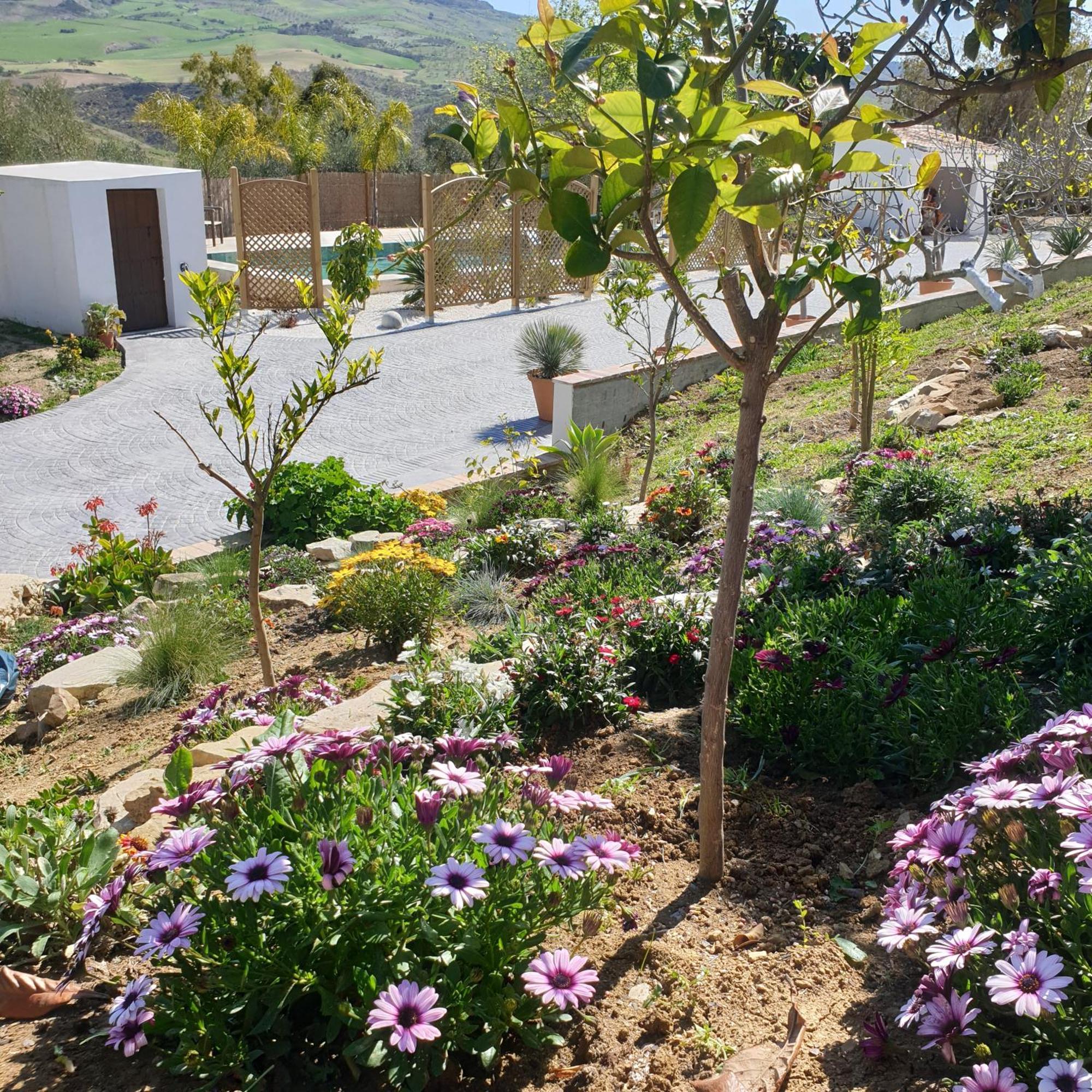Finca Altozano - Private Pool - Unique Client Valle de Abdalagís Exterior foto