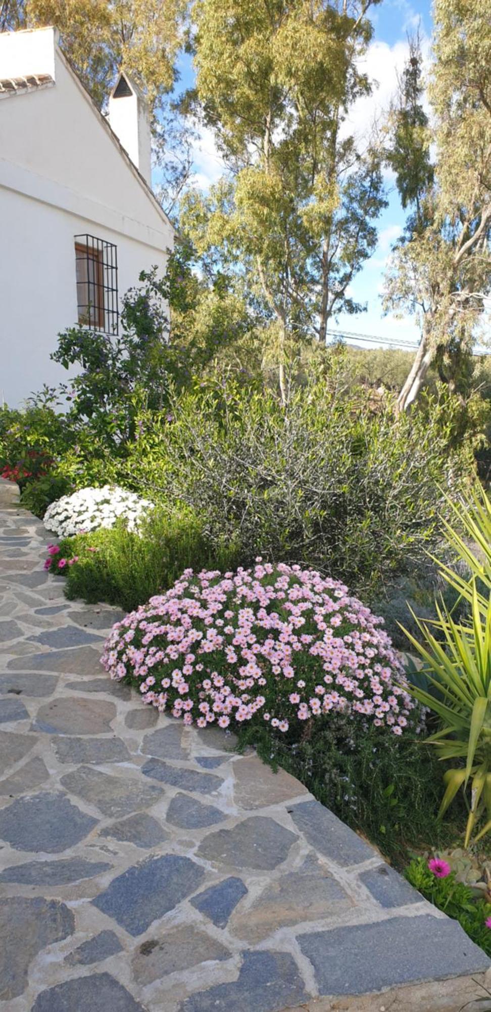 Finca Altozano - Private Pool - Unique Client Valle de Abdalagís Exterior foto